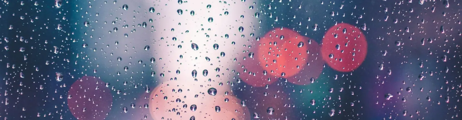 Protect Your Home from High Humidity Dampness and Moisture